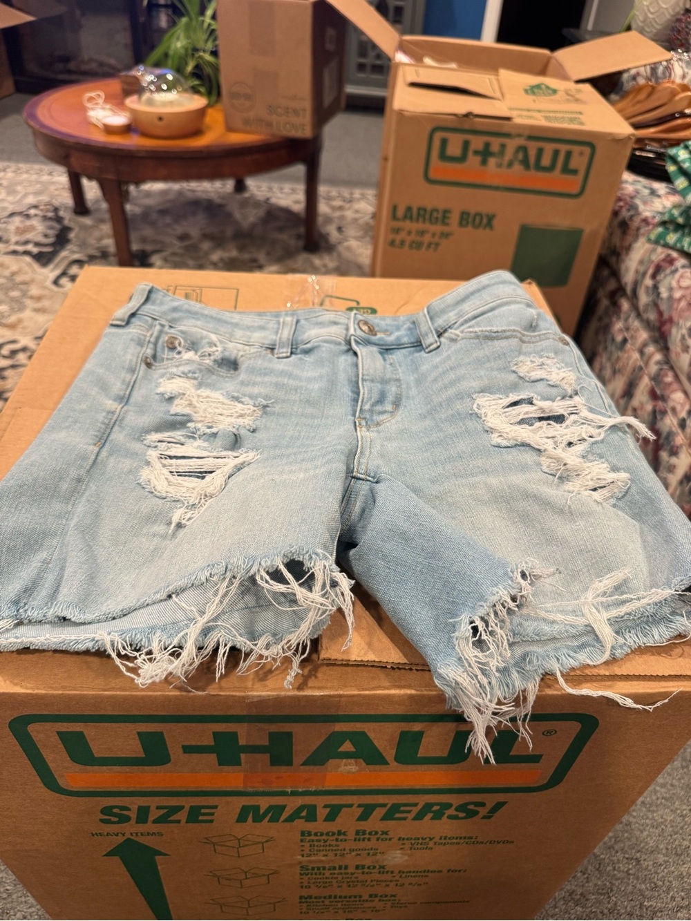 American Eagle Outfitters Light Wash Distressed Denim Cutoff Shorts